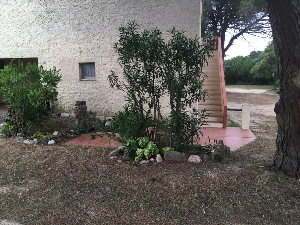 Monolocale A Rena Majore Di Gallura Exterior foto